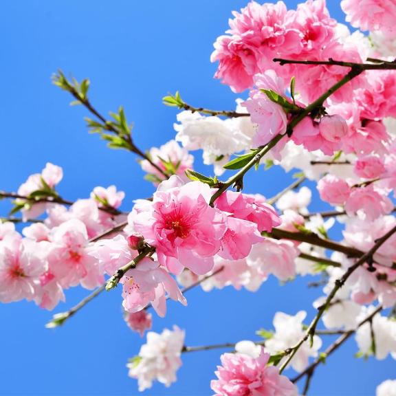 ねむねむ(  ¯꒳​¯ )ᐝ💕