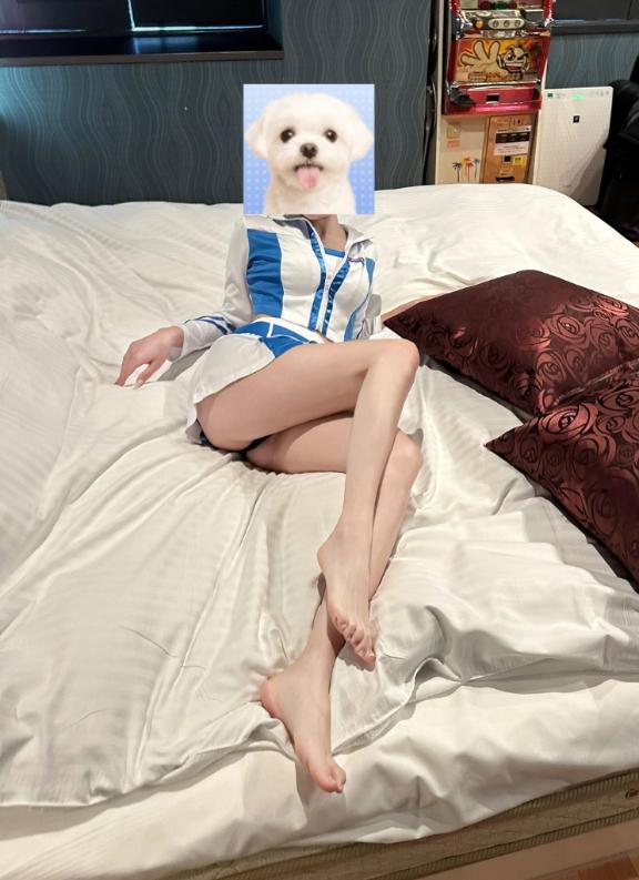 明日から！